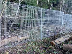 IMG-20201107-WA0005.jpg
