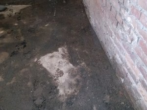 IMG_20210119_135021.jpg