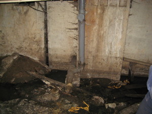 IMG_6351.JPG