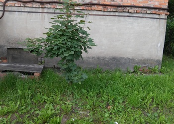 ленинаотмоска 3.jpg