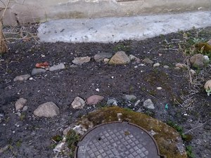 IMG_20200422_104258.jpg