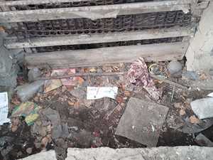 WhatsApp Image 2022-05-04 at 09.16.40 (2).jpeg