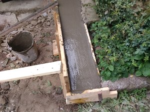 IMG_20200605_102539.jpg