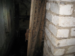 IMG_6353.JPG