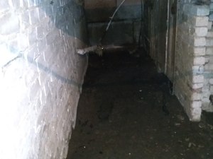 IMG_20200515_102753.jpg