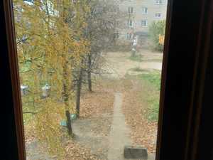 0edff7ab-887a-4a62-9a32-6ed5a90c94dd.jpg