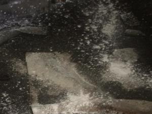 45b8a55d-e5e8-48d9-a8ed-cded85e0a361.jpg