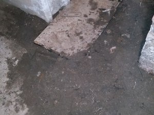 IMG_20210119_140607.jpg