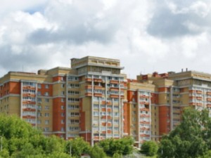 50630.jpg