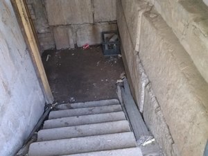 IMG_20200515_084850.jpg