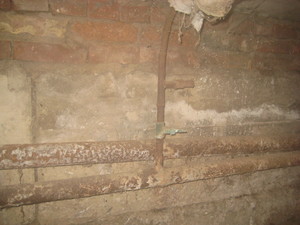 IMG_6452.JPG