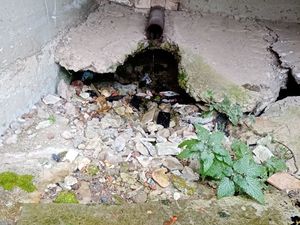 IMG_20201020_101744 (1).jpg