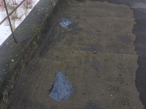 71f0fa46-f7f5-4852-b470-2ba08a3be111.jpg