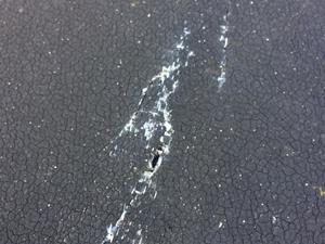 3e69565d-ebcb-4141-abd2-db8e5c948609.jpg