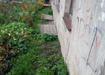 отмоска кировадо 2.jpg