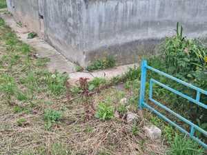 24b6a91f-9fbc-4adc-a010-9b63b8cbf4d9.jpg