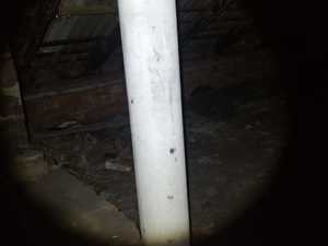 WhatsApp Image 2021-12-02 at 13.14.58.jpeg