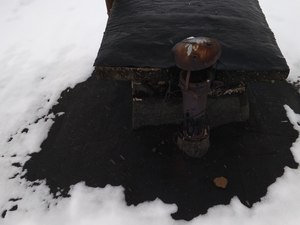 IMG_20200128_143832.jpg