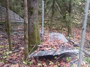 IMG-20201104-WA0027.jpg