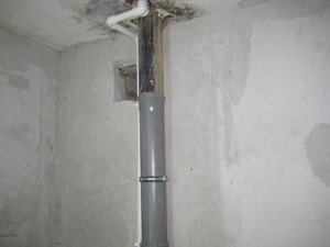 IMG_6505.JPG