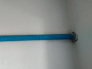 IMG_20200609_135936.jpg