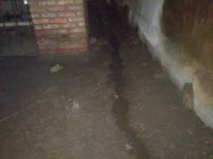 изображение_viber_2020-07-02_13-08-48.jpg