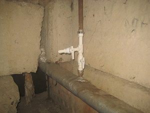 IMG_6432.JPG