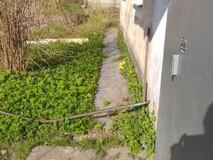 WhatsApp Image 2022-05-04 at 09.21.51.jpeg