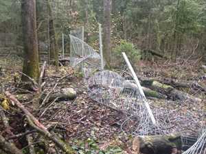 IMG-20201104-WA0023.jpg