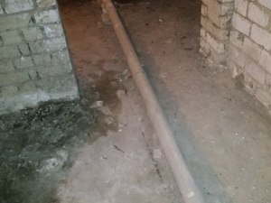 IMG_20200515_150716.jpg