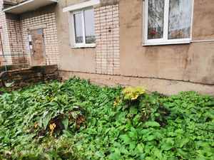 изображение_viber_2020-10-08_14-40-15.jpg