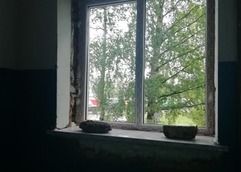 вовкм1.jpg