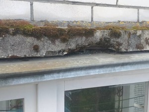 WhatsApp Image 2022-05-04 at 16.34.11.jpeg