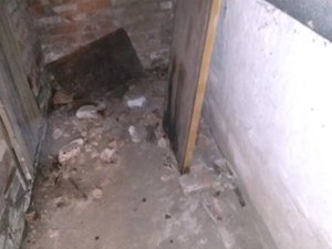 IMG_20210119_135308.jpg