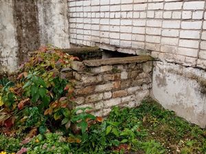 IMG_20201020_101326.jpg