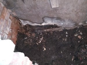IMG_20210119_101102.jpg