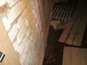 IMG_20200515_091435.jpg