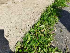 c20f735a-3ca0-4043-8f63-e526e20103f7.jpg
