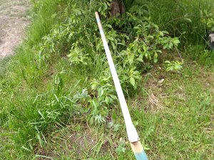 IMG_20200608_140823.jpg