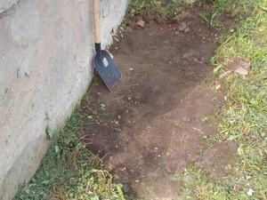 cee939e8-8107-41d6-bc0b-b2ed863d065b.jpg