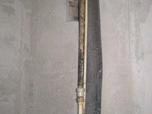 IMG_6496.JPG