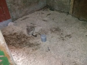 IMG_20200430_090421.jpg