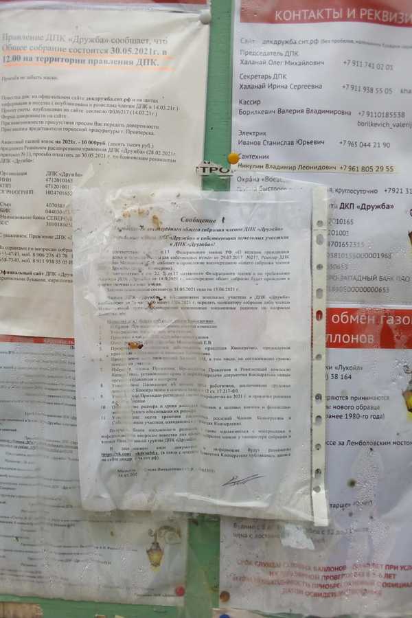WhatsApp Image 2021-05-23 at 10.21.59.jpeg