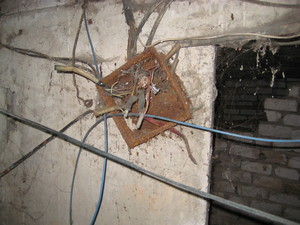 IMG_6358.JPG