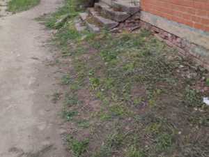7111ded7-16f7-4b9d-ab5f-01b8544e53a2.jpg
