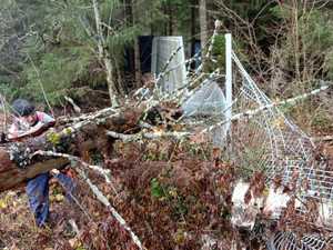 IMG-20201106-WA0010.jpg