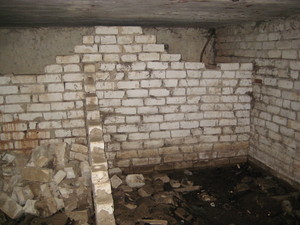 IMG_6349.JPG