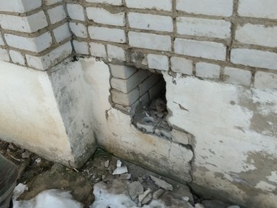 до_20190219_100521.jpg