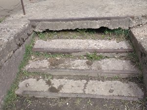 IMG_20200420_141747.jpg