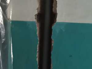 9c4e8cd6-d3c2-4ab5-8c29-c1627287a4b4.jpg